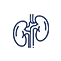 Kidney Health